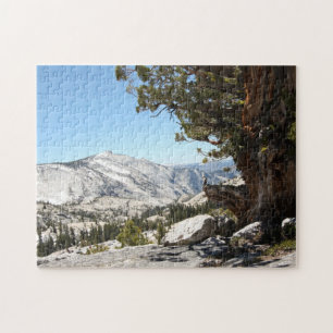 Alter Baum an Yosemite Nationalpark Puzzle