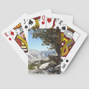 Alter Baum an Yosemite Nationalpark Spielkarten
