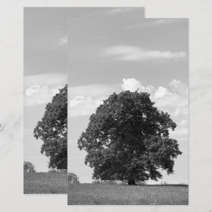 Alter Baum Briefpapier