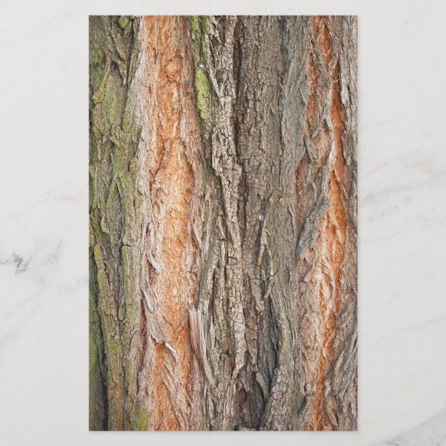 alter Baum Briefpapier (Vorderseite)