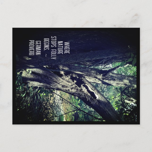 Alter Baum im Wald & deutsche Sprichwort Postkarte (Vorderseite)