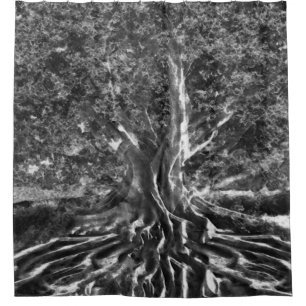 Alter Baum in Schwarzweiss Duschvorhang