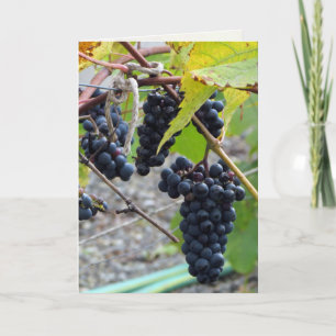 Alter bis Perfektion Karte