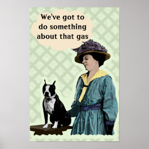 Alter BostonTerrier Poster