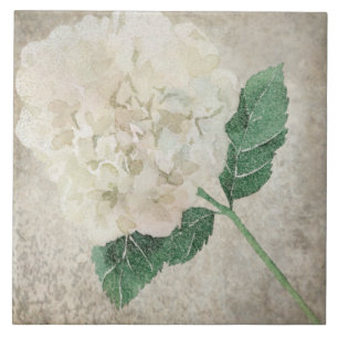 Alter botanischer Tile - Aqua und Knochen V2 Fliese