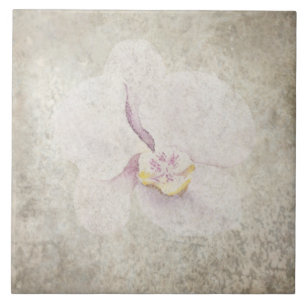 Alter botanischer Tile - Aqua und Knochen V5 Fliese