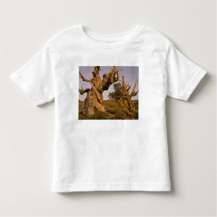 Alter Bristlecone-Wald, Weiße Berge, CA Kleinkind T-shirt