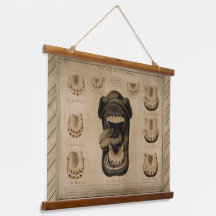 Alter des Pferdes, Mundzähne Pferdezahndiagramm