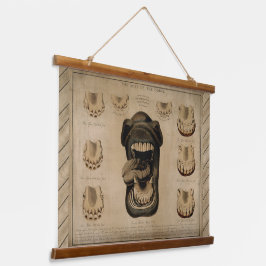 Alter des Pferdes, Mundzähne Pferdezahndiagramm Wandteppich Mit Holzrahmen