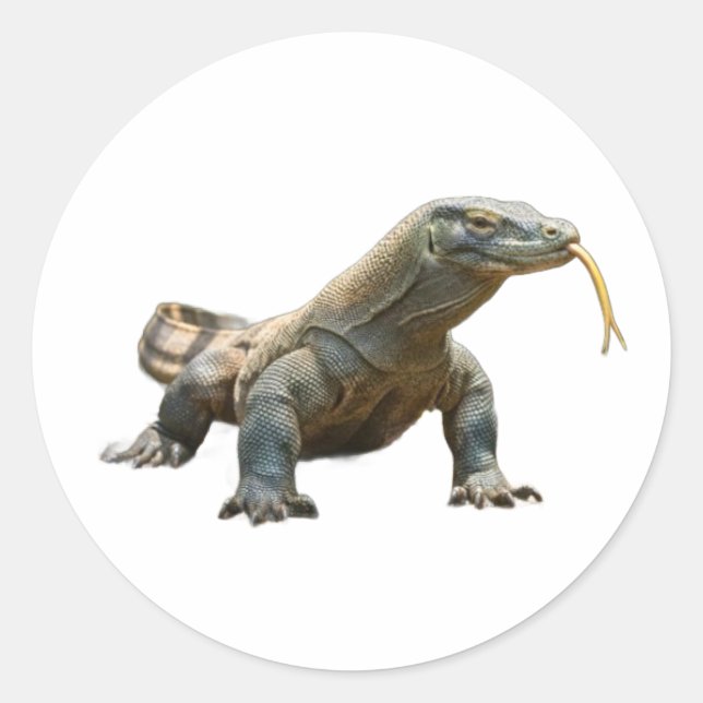 Alter Drache Komodo Indonesien-Erbe-Aufkleber Runder Aufkleber (Vorderseite)