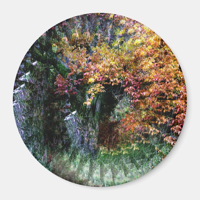 Alter Eichenbaum....... Magnet (Vorne)