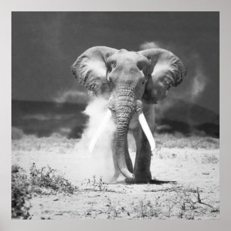 Alter Elefant Poster