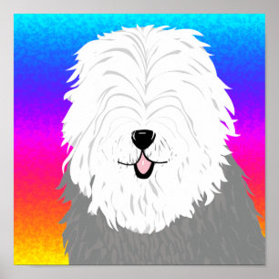 Alter englischer Schafhund (mit überzogenen Augen) Poster