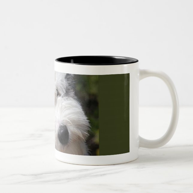 alter englischer Schafhund Zweifarbige Tasse (Rechts)