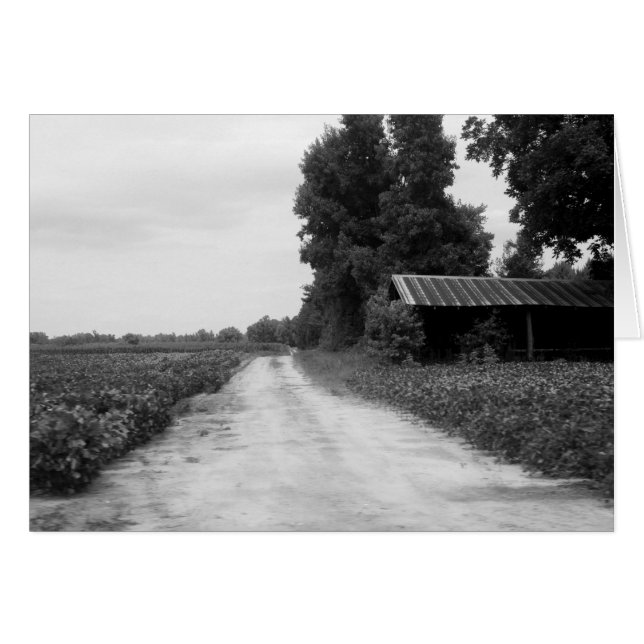 Alter Gebäude-Stall in North Carolina (Vorderseite (Horizontal))