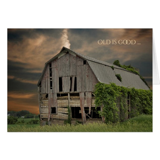 Alter gewitterter Stall (Vorderseite (Horizontal))