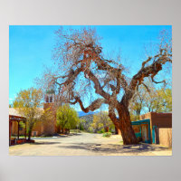 Alter Hängebaum, Cerrillos, New Mexico