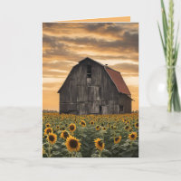 Alter Holzstall in Sonnenblumen