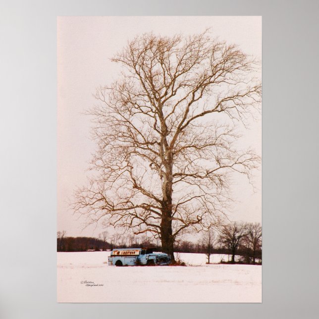 Alter klassischer Tankwagen Sycamore Baum Poster (Vorne)