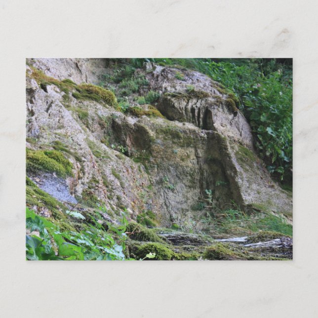 Alter Mann des Berges Postkarte (Vorderseite)