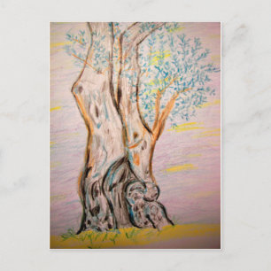 Alter Olivenbaum Postkarte