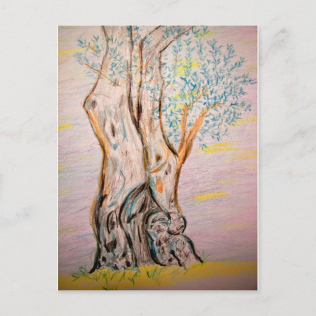 Alter Olivenbaum Postkarte (Vorderseite)