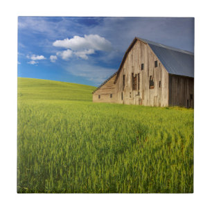 Alter Stall im Feld der Frühlingsweide Fliese
