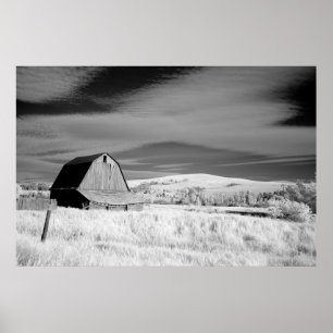 Alter Stall Poster