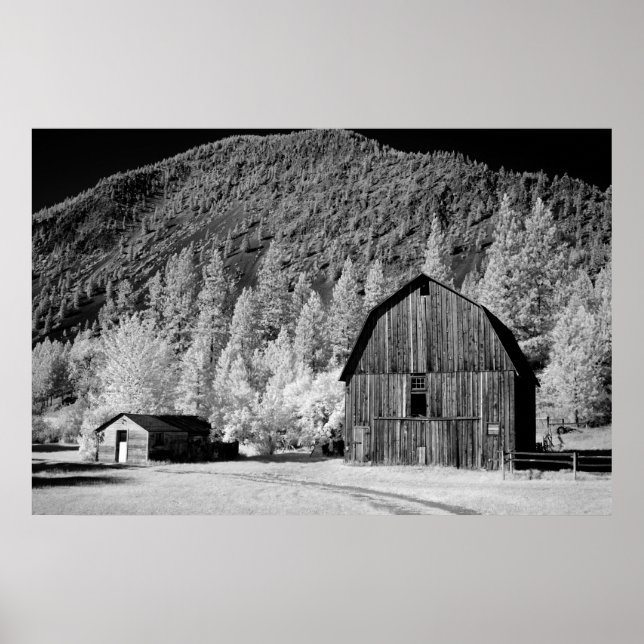 Alter Stall Poster (Vorne)