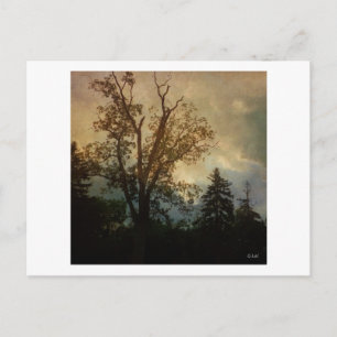 Alter Tree Postkarte