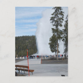 Alter treuer Geyser im Yellowstone Park Postkarte