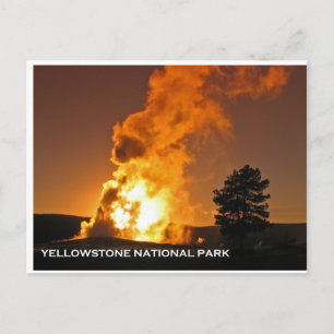 Alter treuer Sonnenuntergang Postkarte