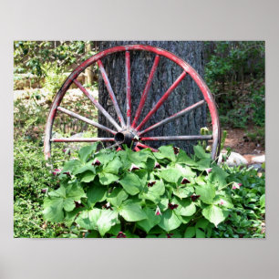 Alter Wagenrad Trillium Blumengarten Poster