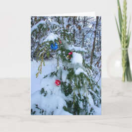 Alter Weihnachtsbaum Feiertagskarte