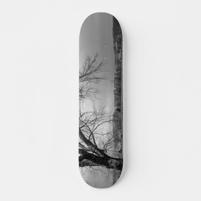 Alter Winterbaum Graustufen Skateboard (Vorne)