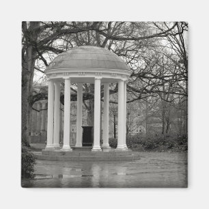 Alter wohler Magnet UNCs