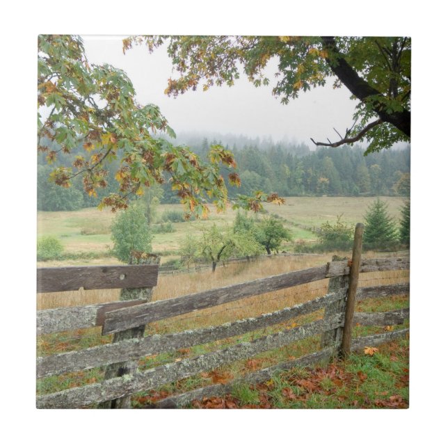 Alter Zaun auf einer Farm Fliese (Vorderseite)