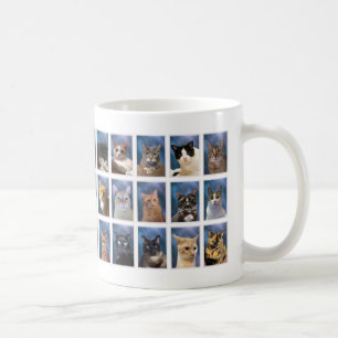 (Ältere Version) Die Booring Group Cat Class von 2 Kaffeetasse