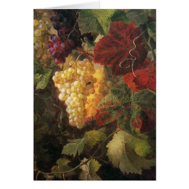 ÄLTERE WEINRÜSTUNG PARTY (Vorne)