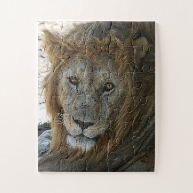 Älterer Löwe Wildtier Puzzle (Vertikal)