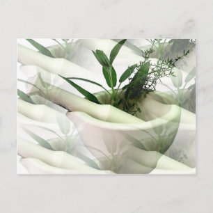 Alternative Arzneimittel Postkarte