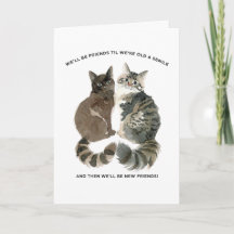 Alternder Humor für Katzen liebende Freunde Ehefra