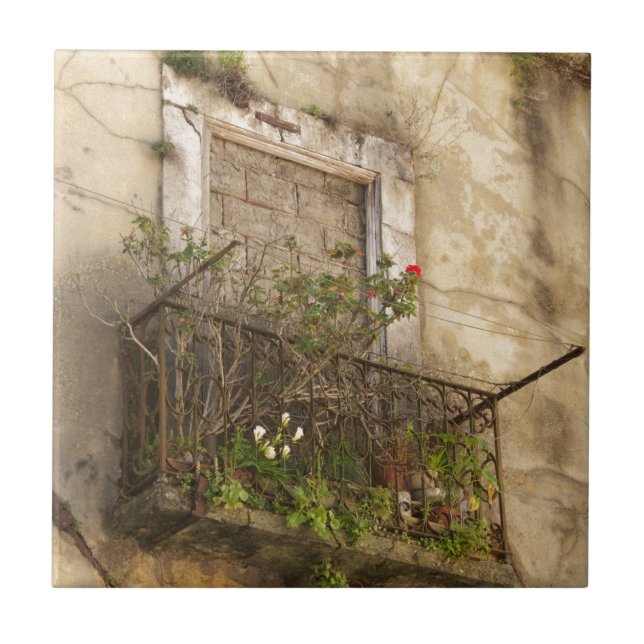 Altes Abandred House Fliese (Vorderseite)