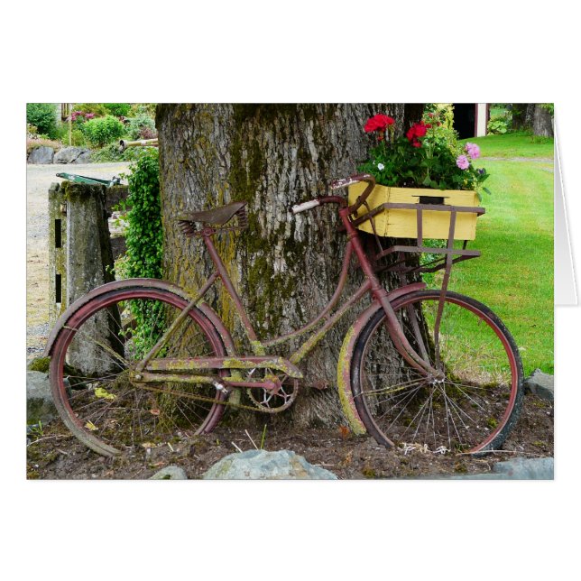 Altes antikes Fahrrad mit Blume Basket (Vorderseite (Horizontal))