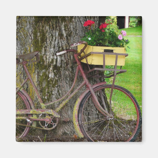 Altes antikes Fahrrad mit Blume Basket Magnet