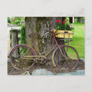 Altes antikes Fahrrad mit Blume Basket Postkarte