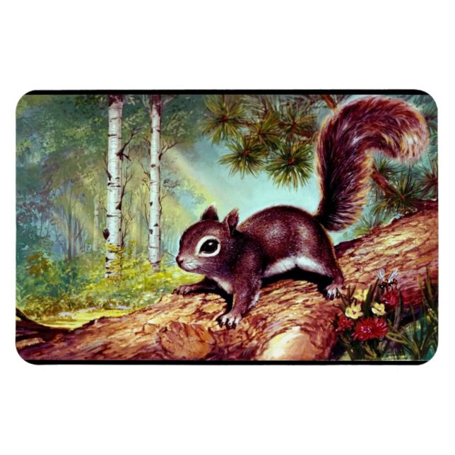 Altes antikes Vintages Eichhörnchenbild Magnet (Horizontal)