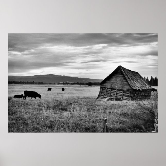 Altes Bauernhaus Poster (Vorne)