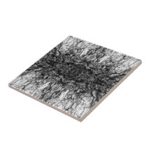 Altes Baumrinden Schwarz-Weiß-Foto Musterdesign