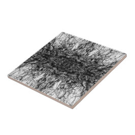 Altes Baumrinden Schwarz-Weiß-Foto Musterdesign Fliese